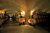Weinfässer, Viader Vineyards, Napa Valley, USA, Cabernet, Weinkeller