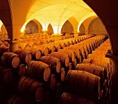 Wine cellar with wine barrels of Madiran and Tannat grapes in South West France