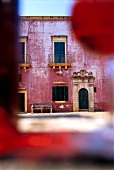 Apulien, Hof des Weinguts Rosa del, Golfo in Alezio, Italien, Weinanbau