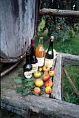 Bottles of cider and apples on wooden surface