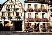 Bergheim, Häuser, Fassade, Blumen Frankreich