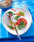 Insalata caprese salad with tomatoes and mozzarella on serving dish