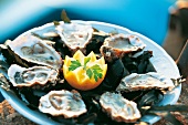 Close-up of oysters with lemon on plate