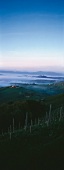 Steiermark, Weinberge, Weißwein, Landschaft, abends, Österreich