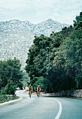 2 Radfahrer auf Mallorca, Anstieg von Cala Sant Vicenc, Spanien