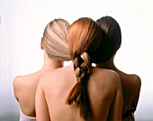 Rear view of women with long hair of blonde, red and dark brown colour braided together
