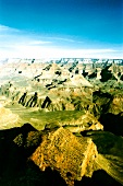 Sonora Desert 