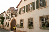 Acham-Magin Acham Magin Weingut mit Gutsausschank in Forst Rheinland-Pfalz