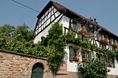 Christmann Weingut mit Restaurant und Weinbar in Neustadt Rheinland-Pfalz Rheinland Pfalz