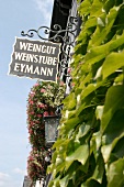 Eymann Weingut mit Weinstube Weinverkauf in Gönnheim Rheinland-Pfalz