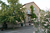 Joachim Flick Weingut mit Weinverkauf Restaurant Vinothek in Flörsheim Floersheim