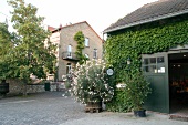 Joachim Flick Weingut mit Weinverkauf Restaurant Vinothek in Flörsheim Floersheim