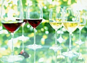 Mehrere Weingläser mit Rotwein und Weißwein, close-up