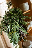 Close-up of bouquet of various fragrant herbs