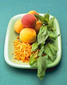 Krebs-Vorbeugung: Aprikosen, Spinat und Hülsenfrüchte auf grüner Schale