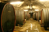 Winzer von Erbach Weingut mit Weinverkauf in Eltville Hessen Deutschland