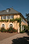 Schloss Johannisberg Weingut mit Weinverkauf Restaurant Gutsausschank in Geisenheim Hessen