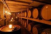 Spohr Weingut mit Weinverkauf in Worms Rheinland-Pfalz Rheinland Pfalz