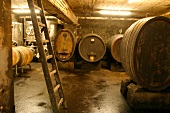 Dautermann Weingut mit Weinverkauf Gästehaus Gaestehaus in Ingelheim