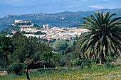 Stadt Arta auf Mallorca, Spanien, Palmen, Landschaft, Natur