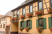 Zum alten Zollhaus Restaurant in Nackenheim Rheinland-Pfalz