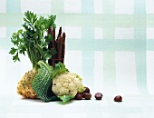 Celeriac, cauliflower and chestnuts on white background