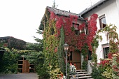 Kurt Schild Weingut mit Weinverkauf Gästezimmer in St. Katharinen St Katharinen