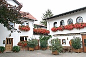 Raddeck Weingut mit Weinverkauf in Nierstein Rheinland-Pfalz Rheinland Pfalz