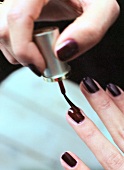 Close-up of woman's hands applying dark brown nail polish on finger nails