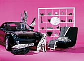 Room with car, sofa, dog, floor lamp, cushions and shelf against pink background