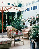 Winter garden with central seating surrounded with plants