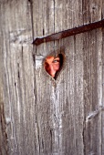 Man looking through heart shaped hole in bathroom door