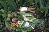 Fresh vegetables and sea salt on green serving dish and cheese on wooden spatula