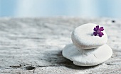 Close-up of two superposed stones with purple flower on top