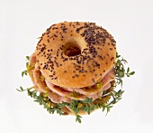 Close-up of canapes of poppy rings with ham, mortadella and watercress on white background