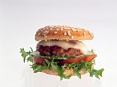 Close-up of cheeseburger with pickles, tomato and lettuce on white background