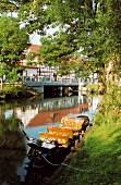 Idyllische Landschaftsaufnahme am Kanal im Spreewald