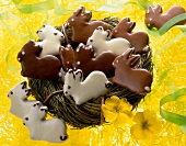 Bunny shaped chocolate biscuits with yellow flowers decoration for Easter