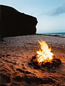 Campfire on beach in evening