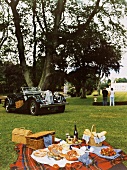 Picnic blanket laid with food and drinks, vintage car and couple in background