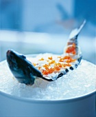 Sashimi of loup de mer with ponzu sauce