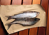 Two fish on baking paper