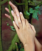 Close-up of woman's manicured hands with green branches and leaves