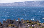 Blick auf Nizza vom anderen Ufer, Meer, im Vordergrund Steine + Gras