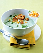 Bowl of spinach soup with egg garnish with herb