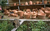 Viele Tontöpfe für Kübelpflanzen, im Vordergrund - eine Katze