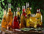 Flaschen mit verschiedenen Sorten Öl u. Essig, mit Kräutern verfeinert