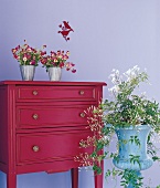 Pansies and jasmines in large amphora beside red chest of drawers