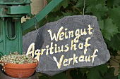 Agritiushof Weingut in Konz Rheinland-Pfalz Rheinland Pfalz