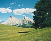 Alpenlandschaft mit grüner Wiese im Vordegrund, Südtirol, Kastelruth